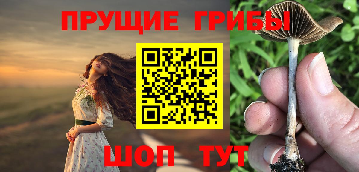 Галлюциногенные грибы прущие грибы Азов